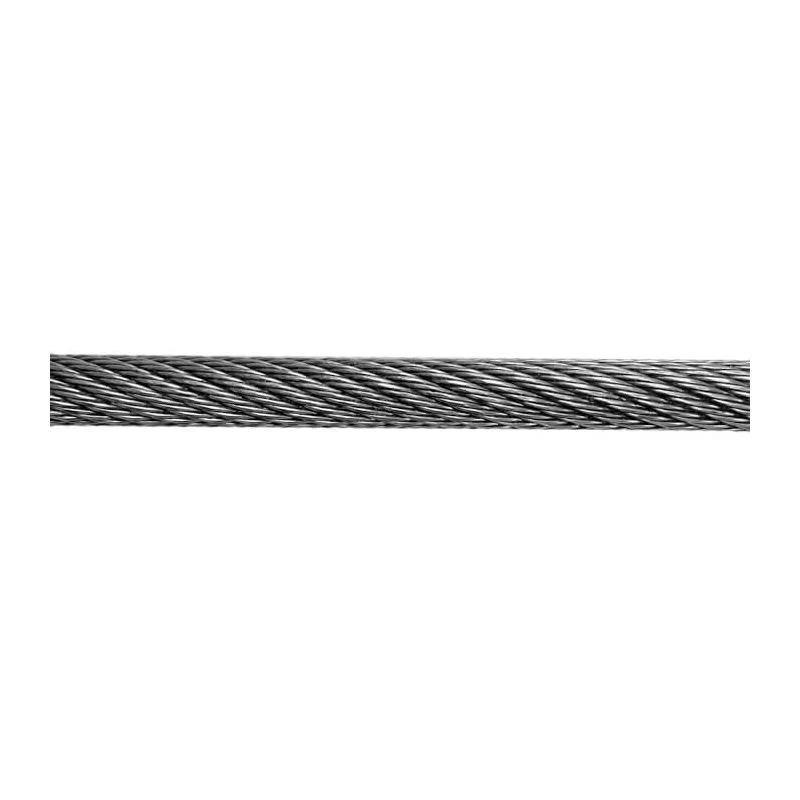 sasseil-25085