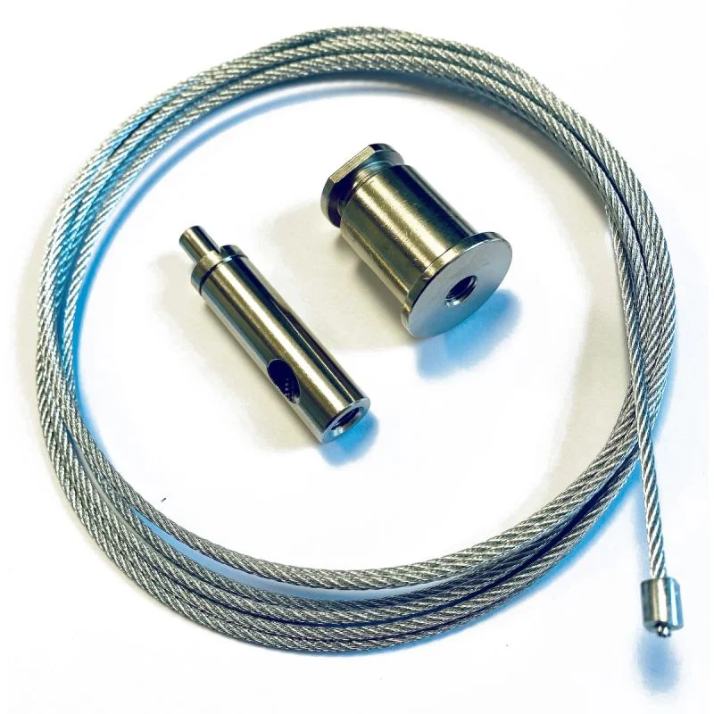 sasseil-26247