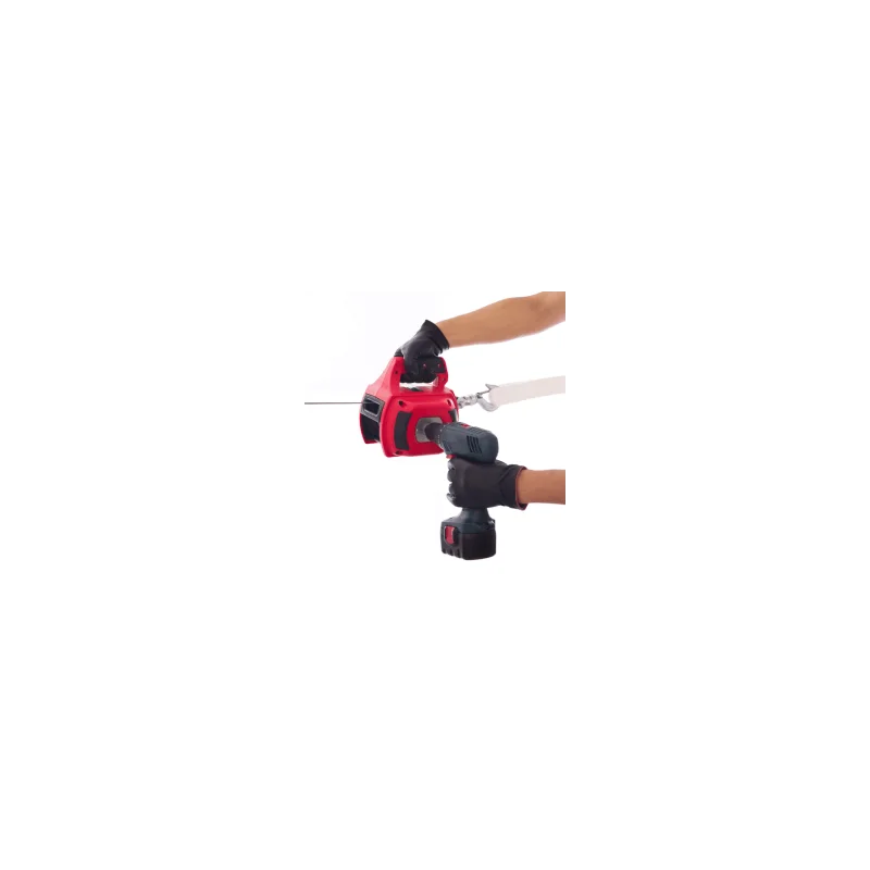 sasseil-28685