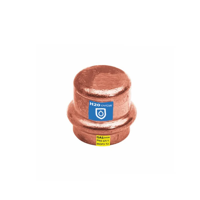 shop.doenges-rs1-188032