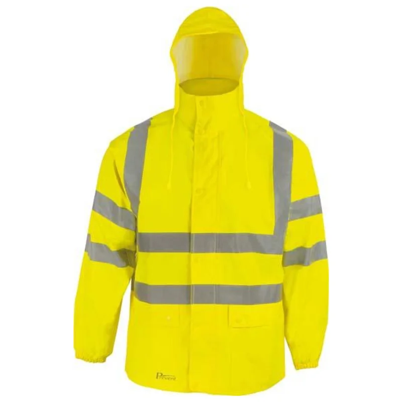 shop.doenges-rs1-267251