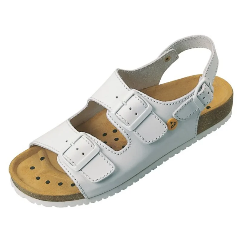 shop.doenges-rs1-267337