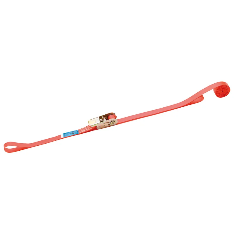 shop.doenges-rs1-271129