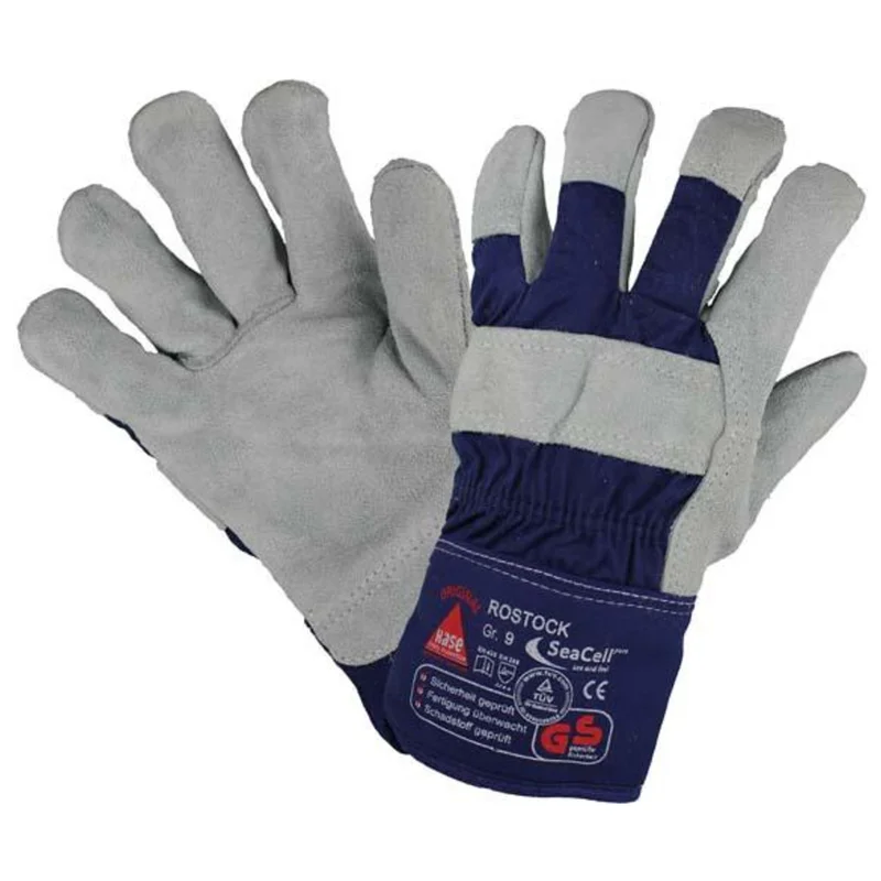 shop.doenges-rs1-273709