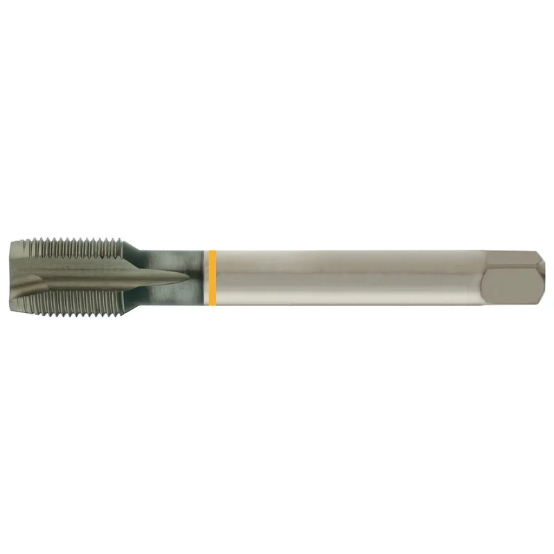 shop.doenges-rs1-278019