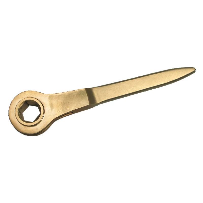 shop.doenges-rs1-283530