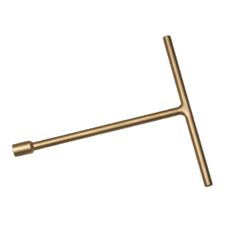 shop.doenges-rs1-287393