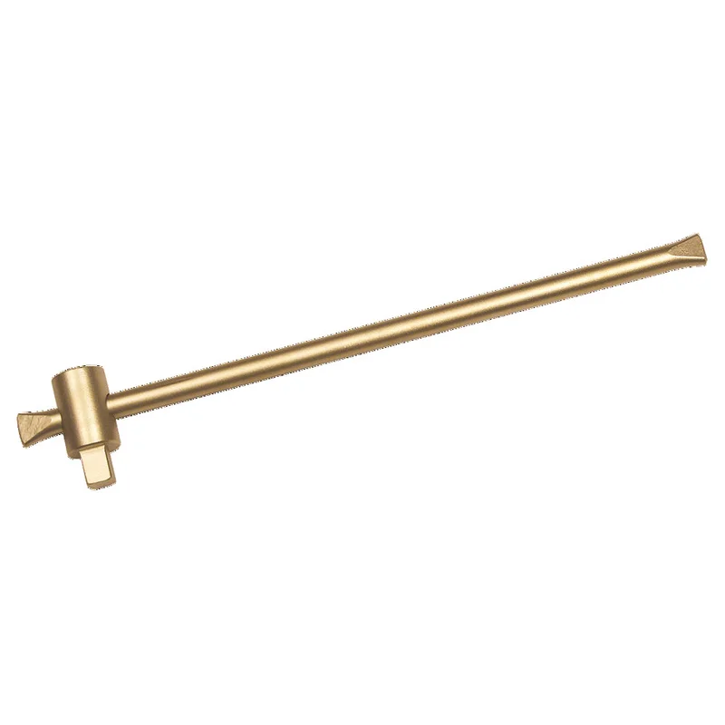 shop.doenges-rs1-290291