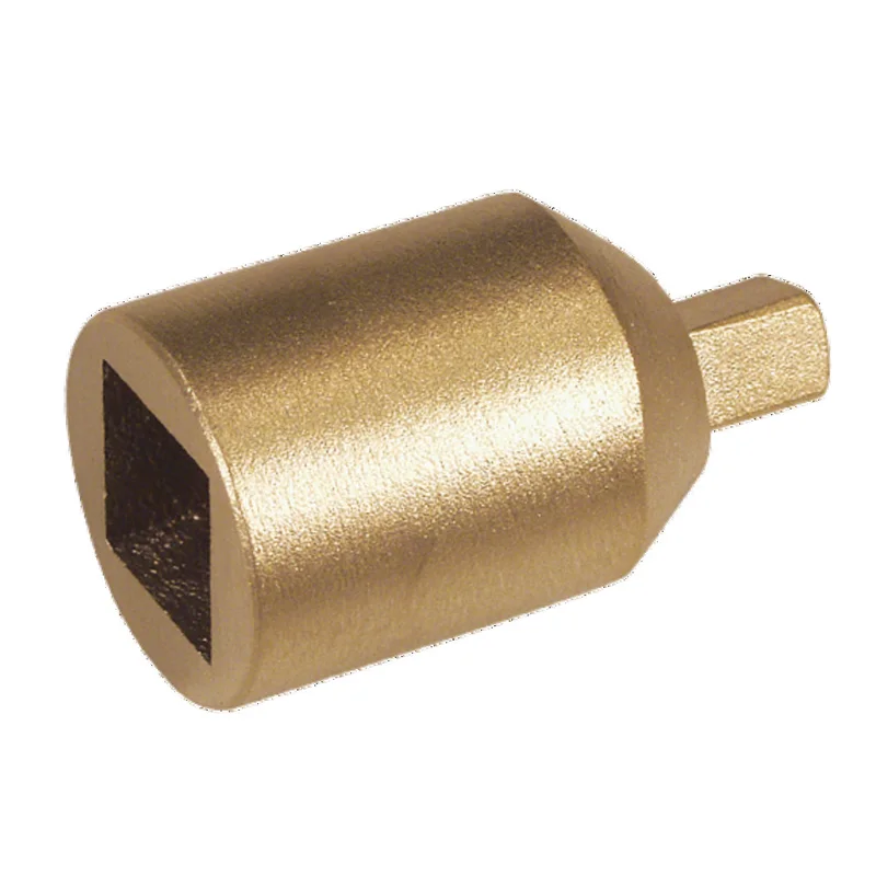 shop.doenges-rs1-290342