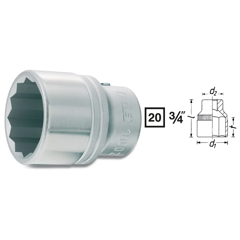 shop.doenges-rs1-291560