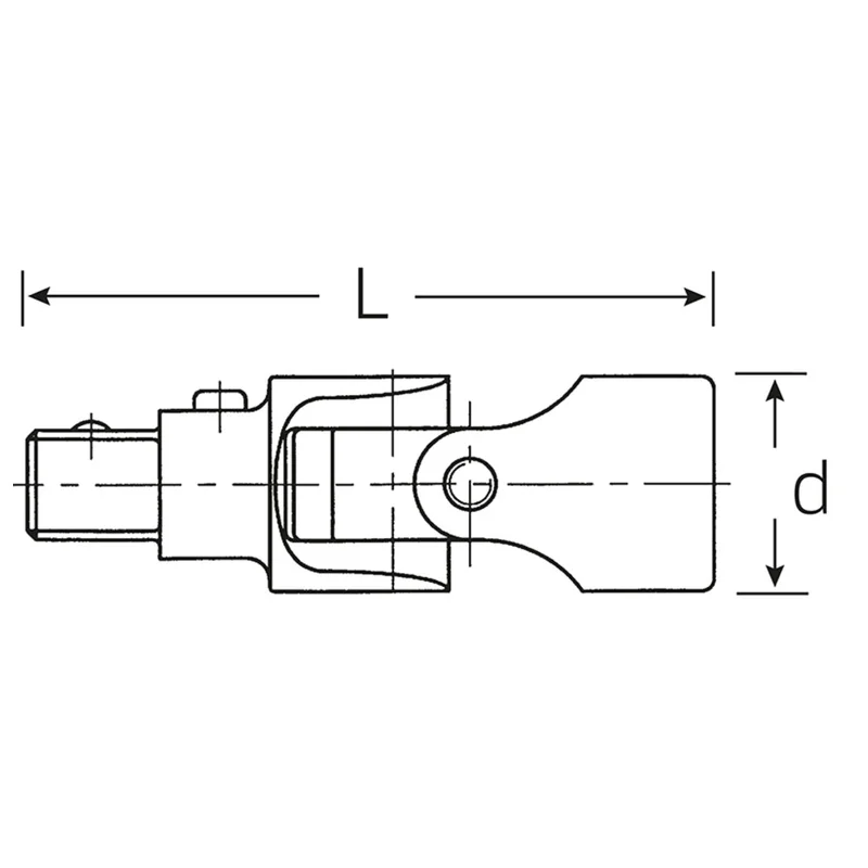 shop.doenges-rs1-293062