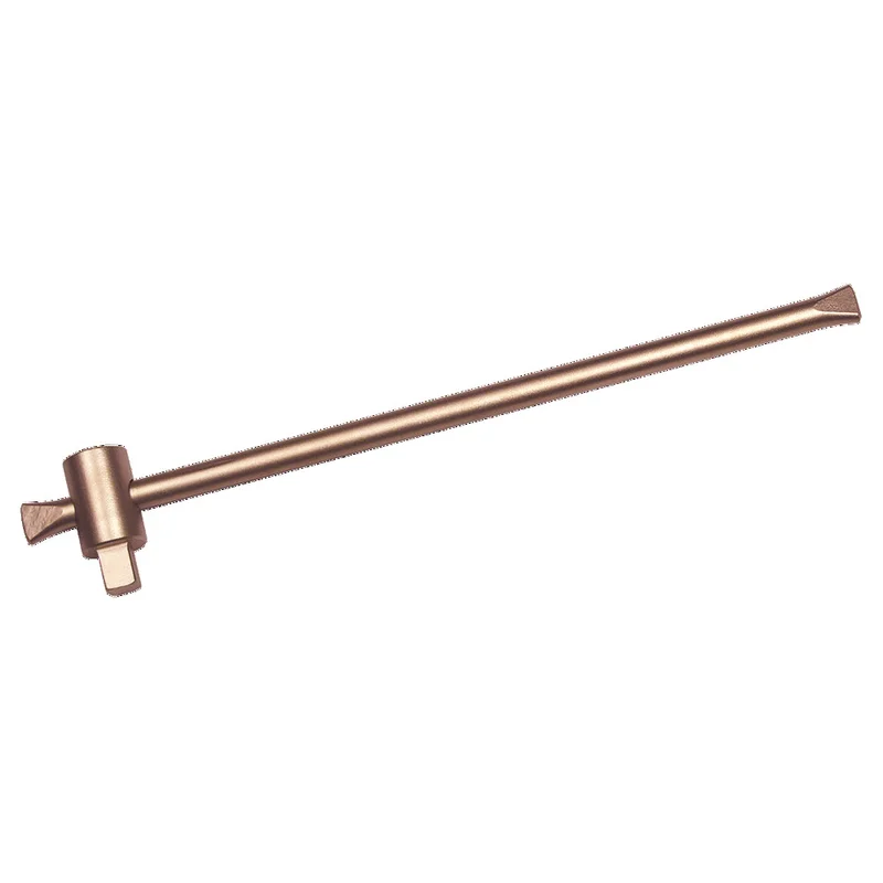 shop.doenges-rs1-293198