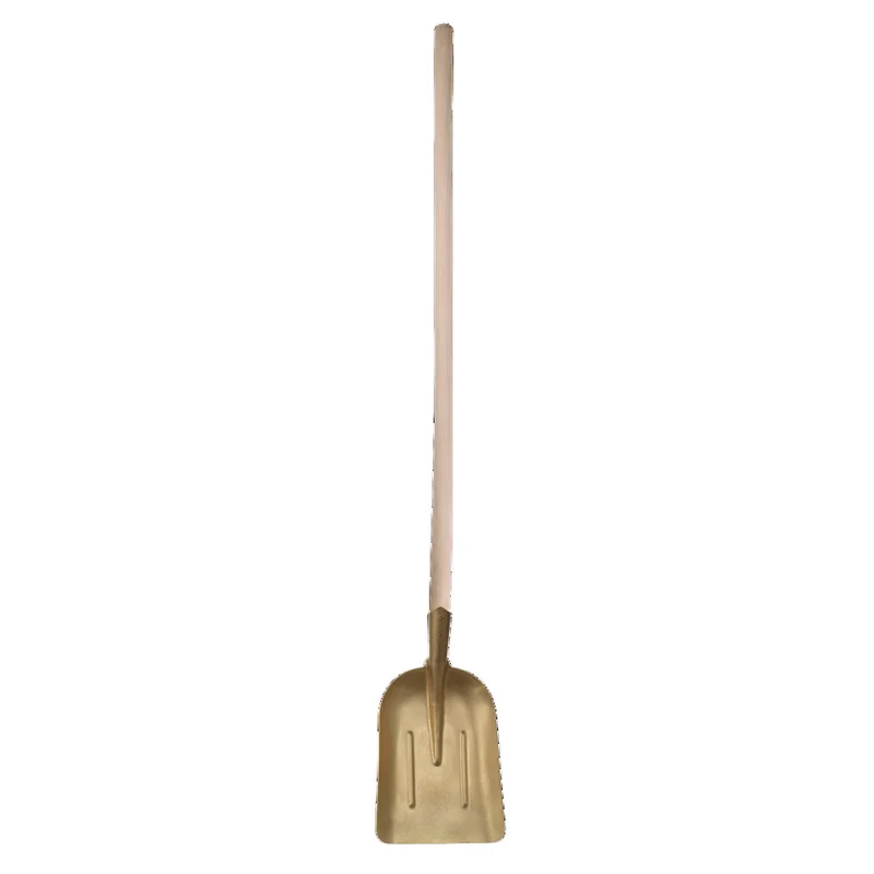 shop.doenges-rs1-293352