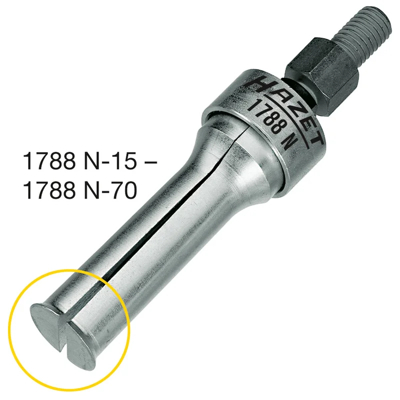 shop.doenges-rs1-293983