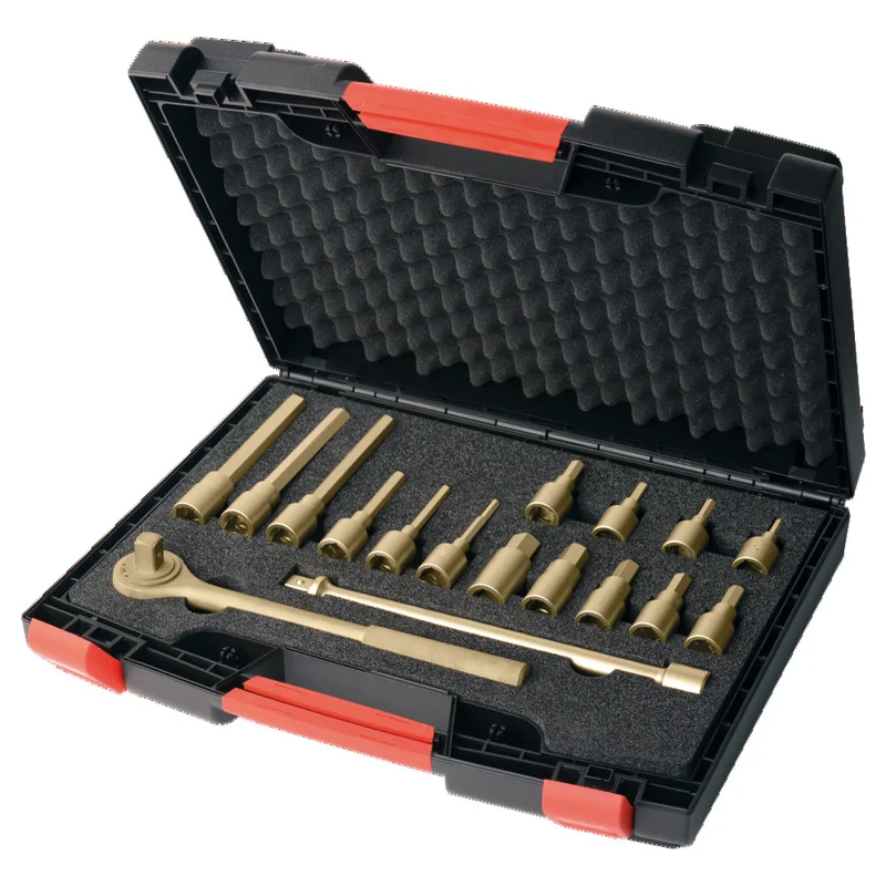 shop.doenges-rs1-295088