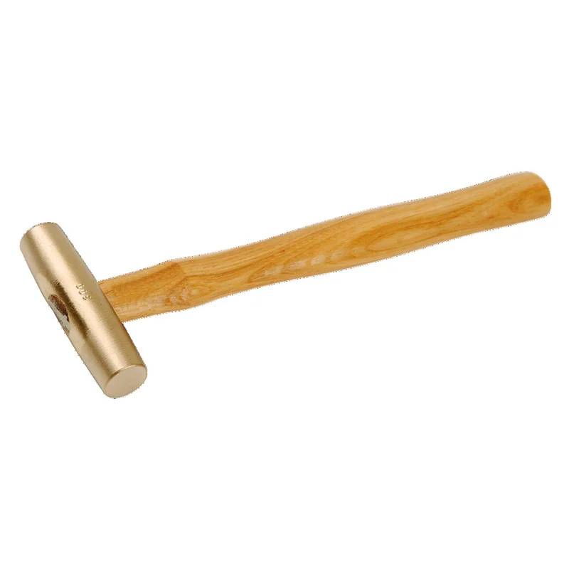 shop.doenges-rs1-299289
