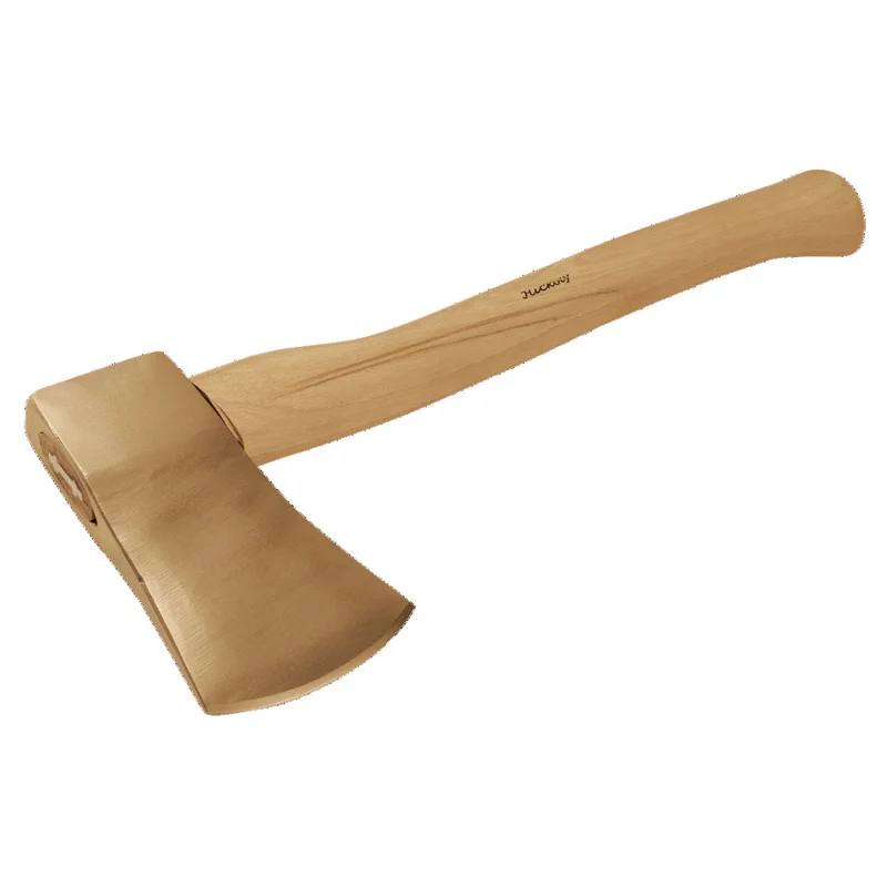 shop.doenges-rs1-300957