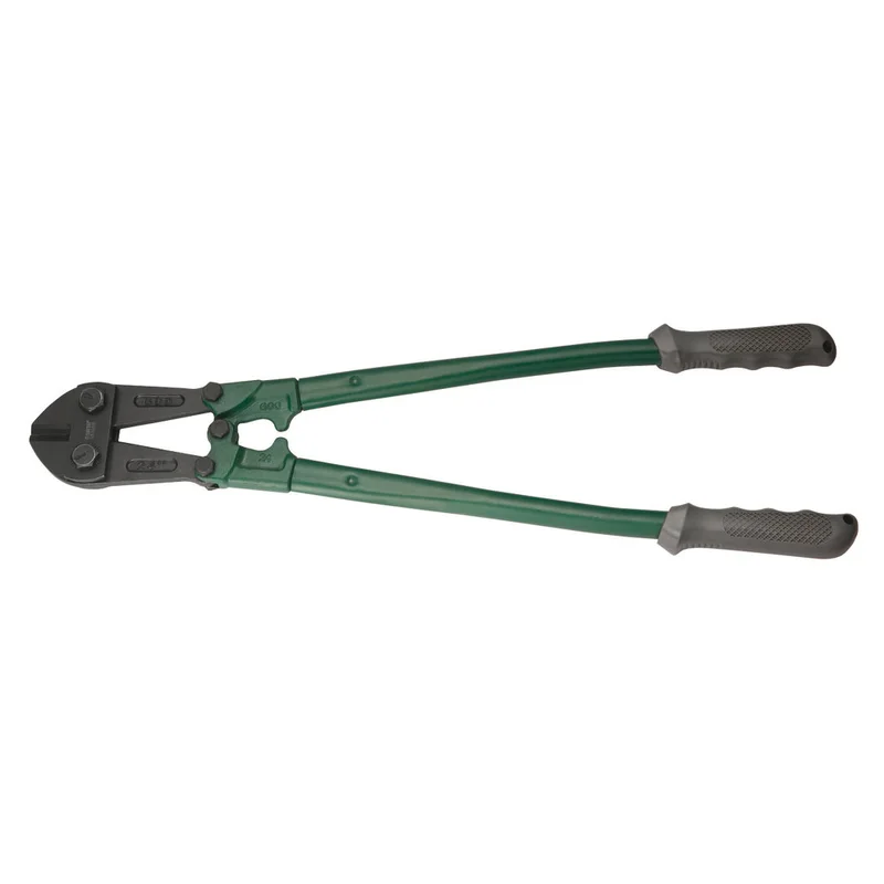 shop.doenges-rs1-349255