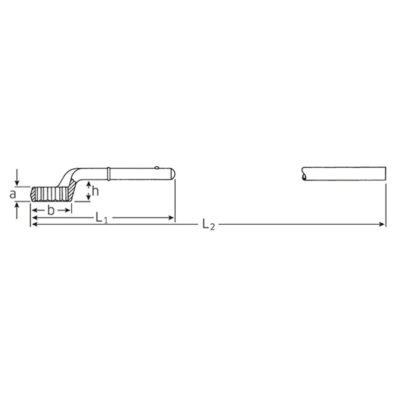 shop.doenges-rs1-366240