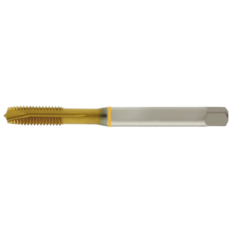 shop.doenges-rs1-370045