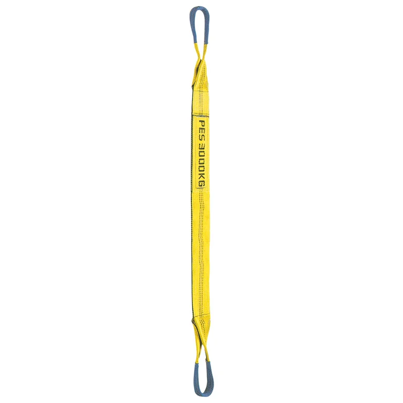 shop.doenges-rs1-381647