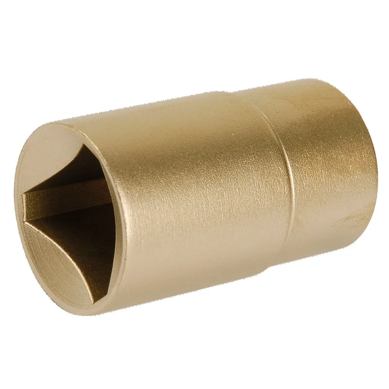 shop.doenges-rs1-385767