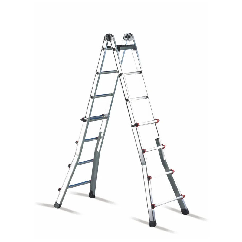 shop.doenges-rs1-387581