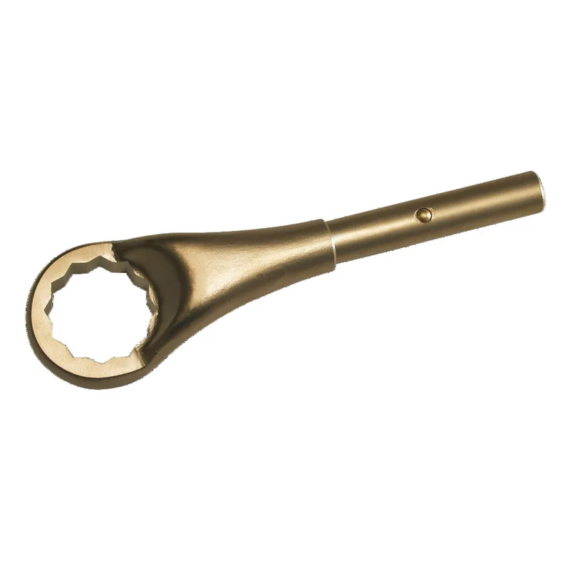 shop.doenges-rs1-390965