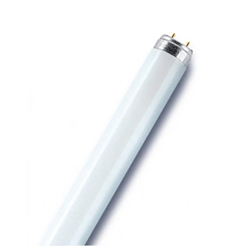 shop.doenges-rs1-391903