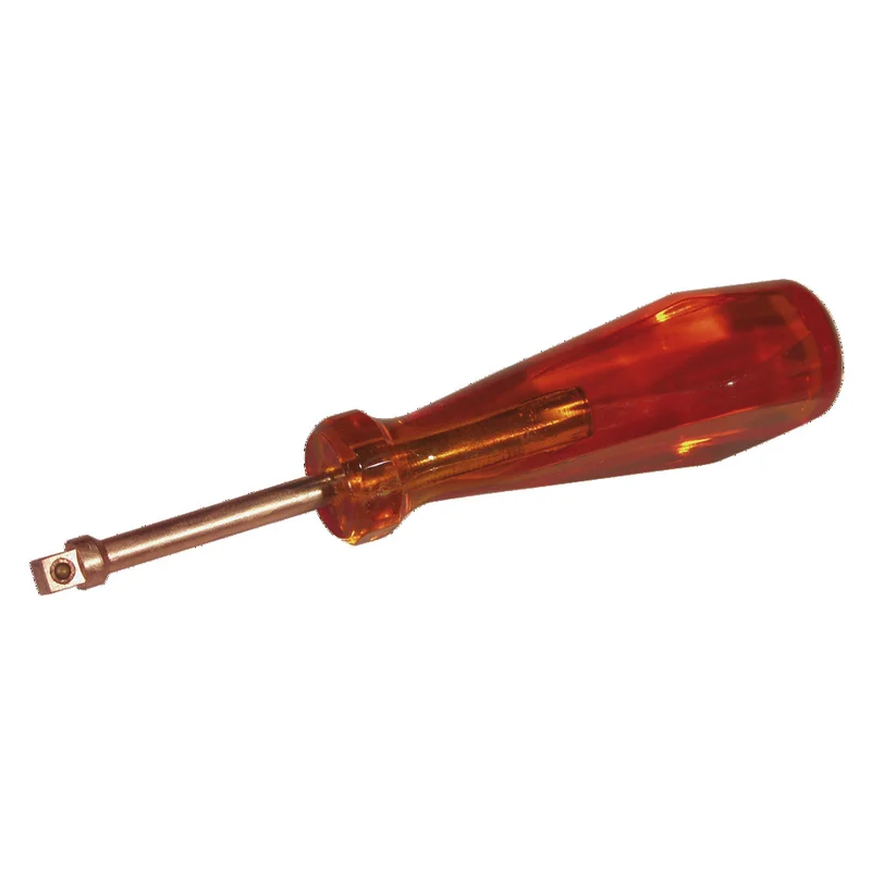 shop.doenges-rs1-393820