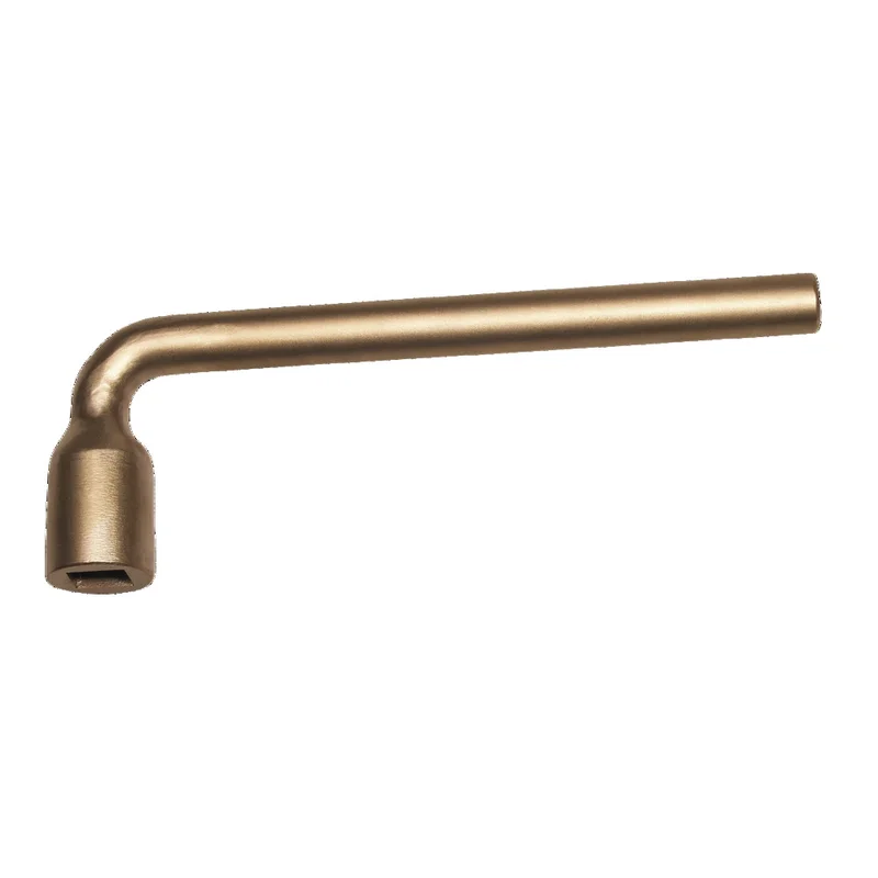 shop.doenges-rs1-394679