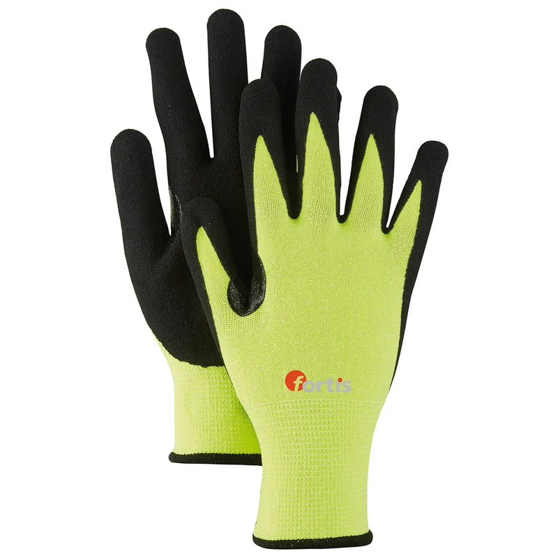 shop.doenges-rs1-399807