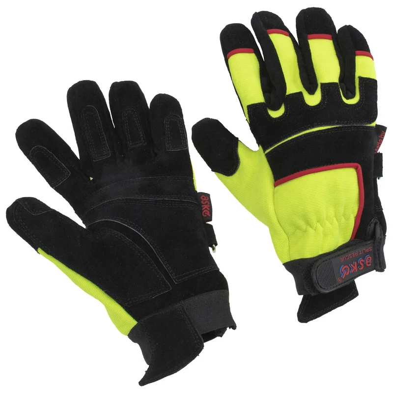 shop.doenges-rs2-140563