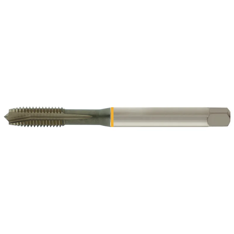 shop.doenges-rs2-181644