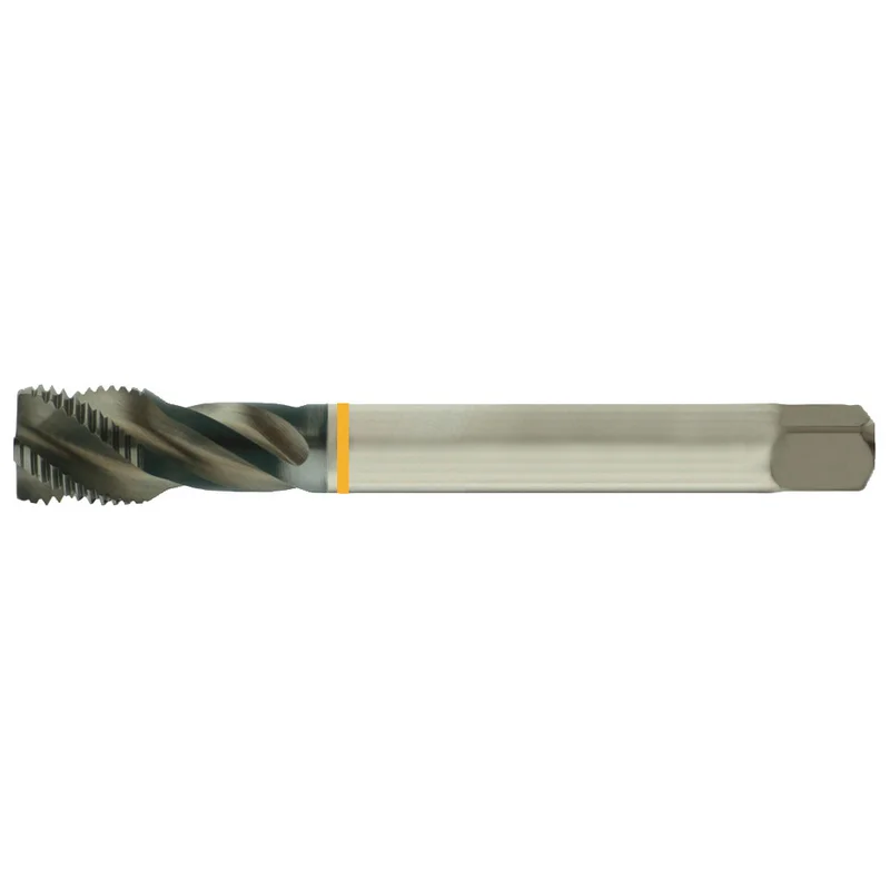 shop.doenges-rs2-215541