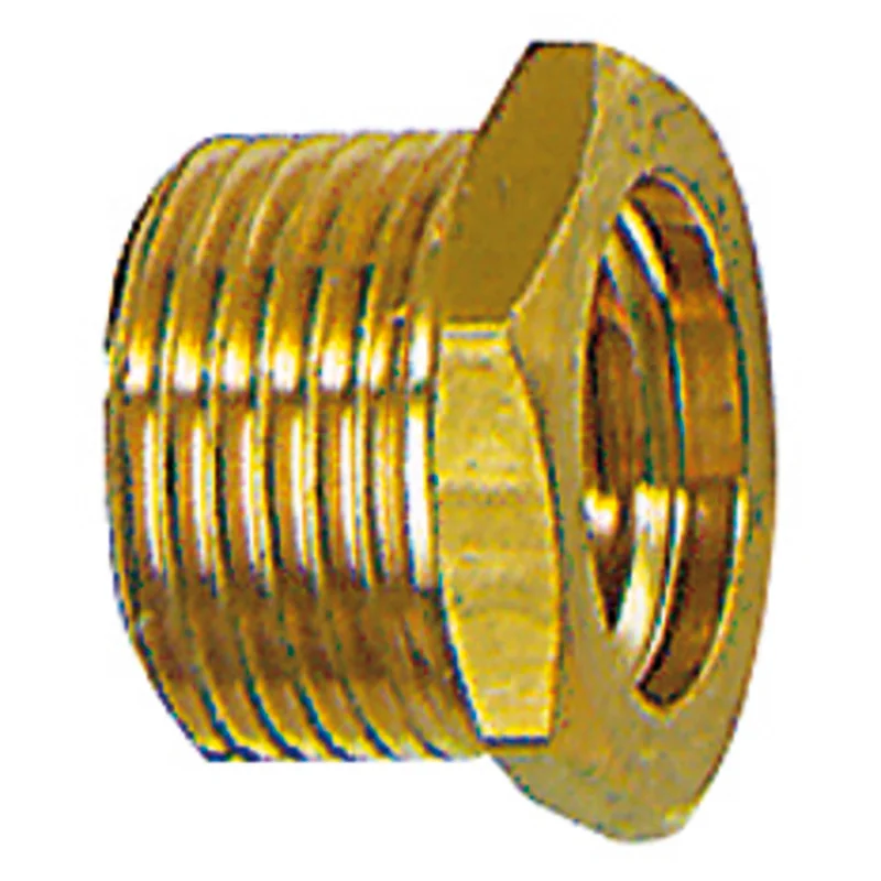 shop.doenges-rs2-216880