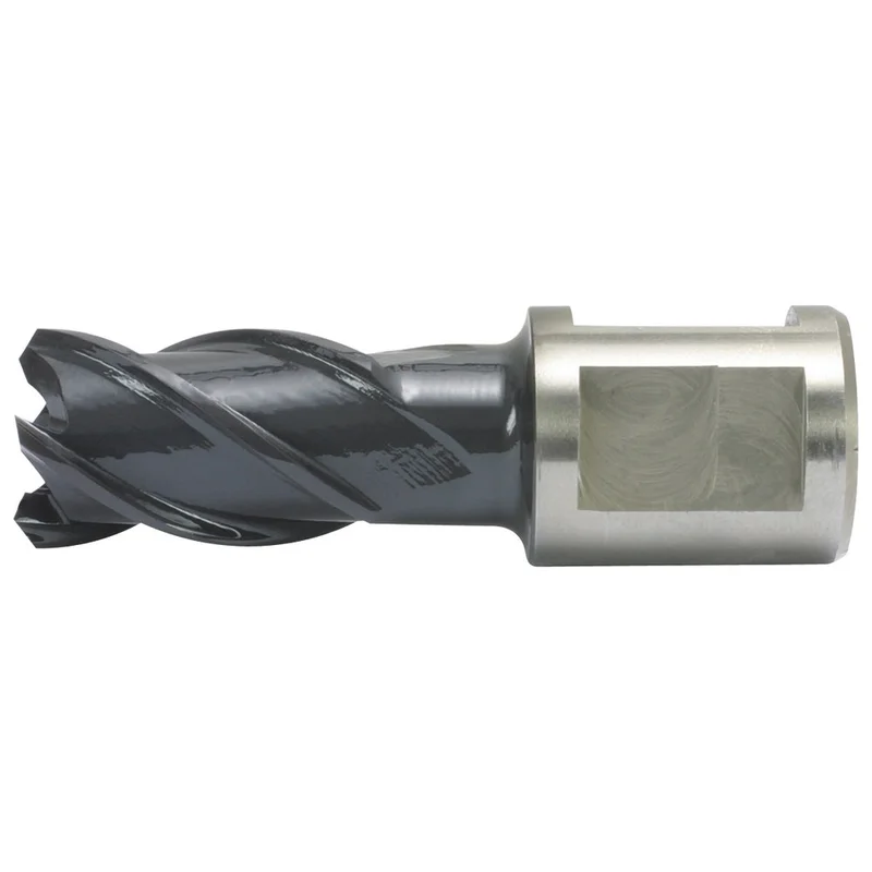 shop.doenges-rs2-221572