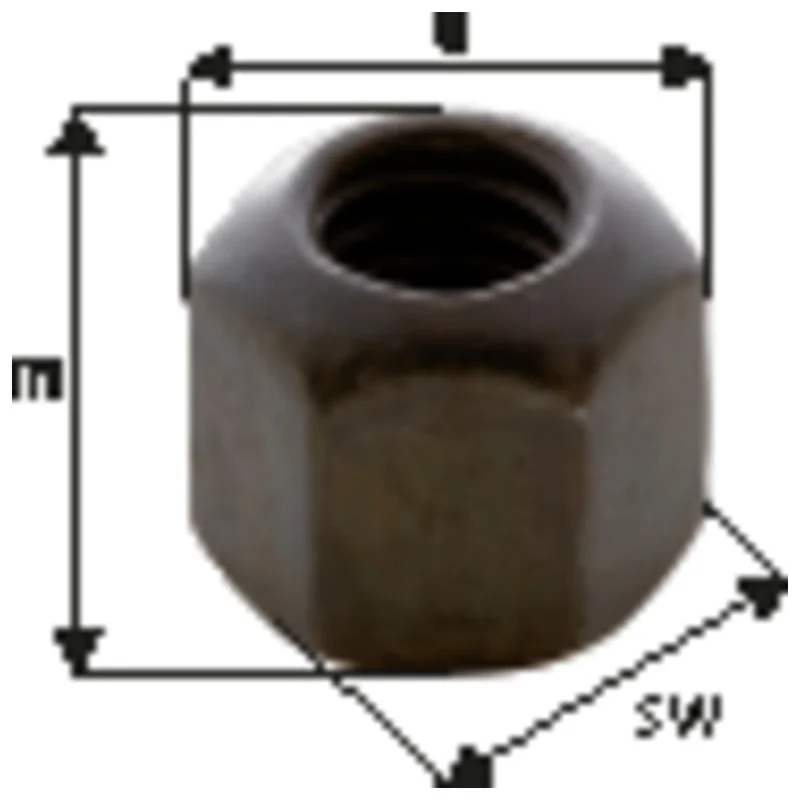 shop.doenges-rs2-235528