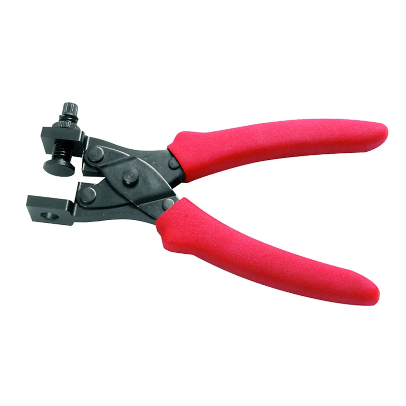 shop.doenges-rs2-238202