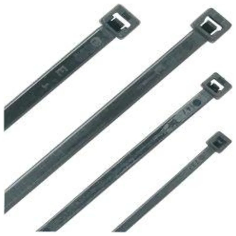 shop.doenges-rs2-258039