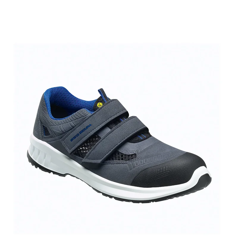 shop.doenges-rs2-266365