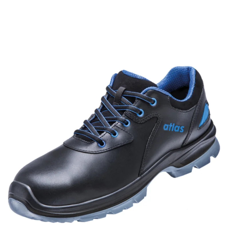 shop.doenges-rs2-274346