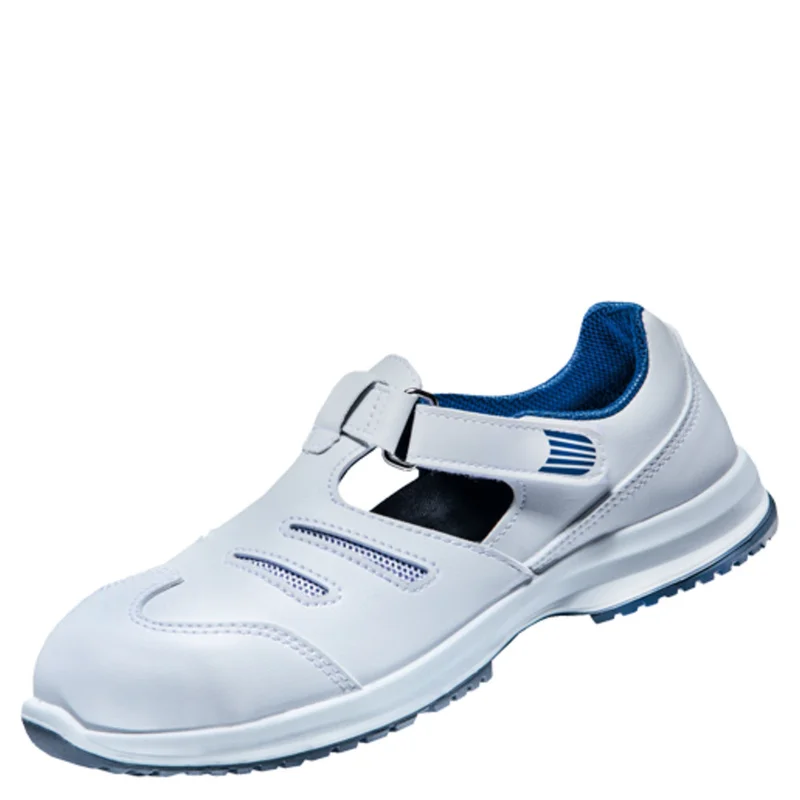 shop.doenges-rs2-277105