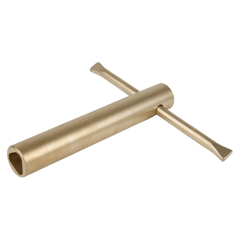 shop.doenges-rs2-277189