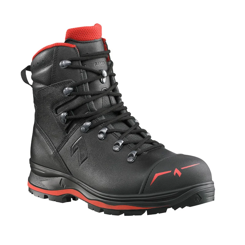 shop.doenges-rs2-280653