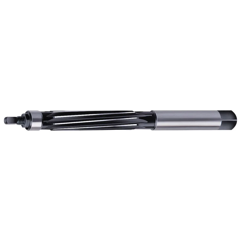 shop.doenges-rs2-282801