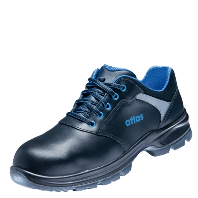shop.doenges-rs2-285984
