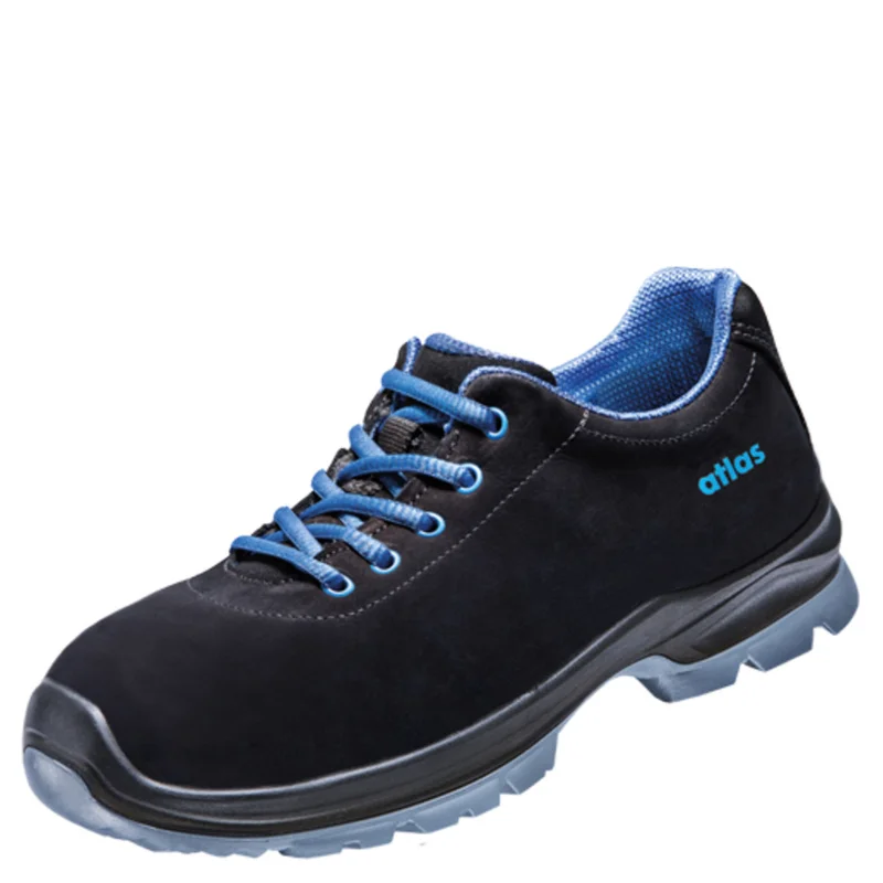 shop.doenges-rs2-286978