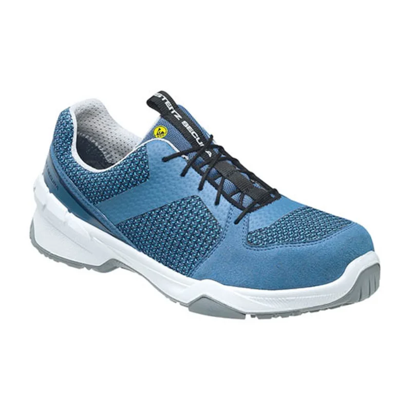 shop.doenges-rs2-287859