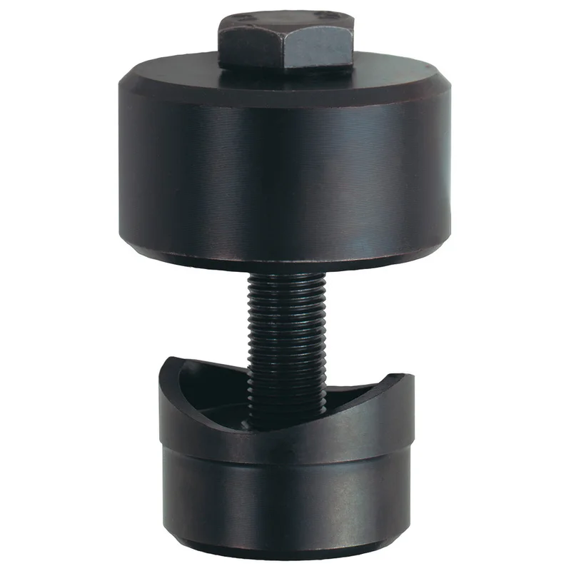shop.doenges-rs2-288380